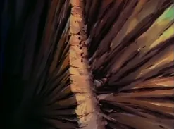 Still from episode 3, The Quest for the Dragon's Eye, image 141 of 235