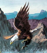 Image from Encounter at Iron Mountain, image 3 of 23